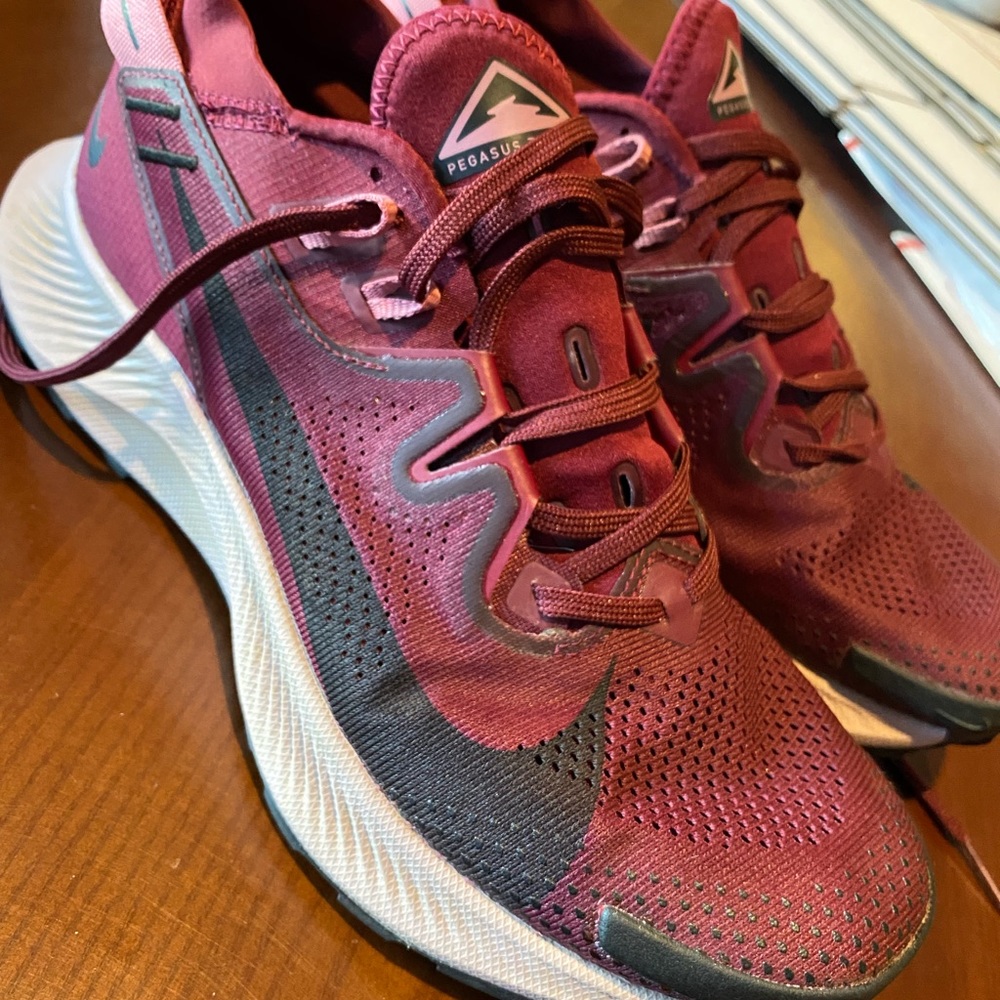 Nike Pegasus Trail 2